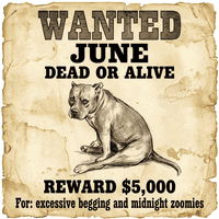 The same pet transformed into Wanted Poster style